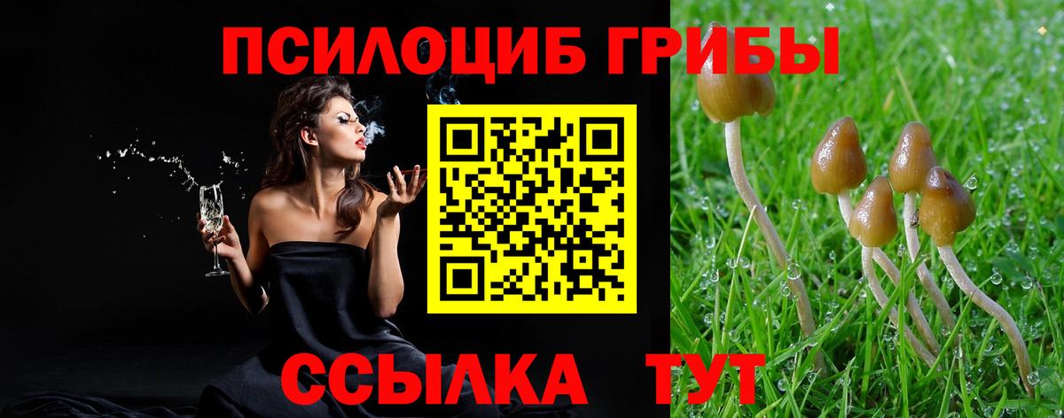 Галлюциногенные грибы Psilocybine cubensis  продажа наркотиков  Галлюциногенные грибы MAGIC MUSHROOMS  Муром  Вход с VPN 